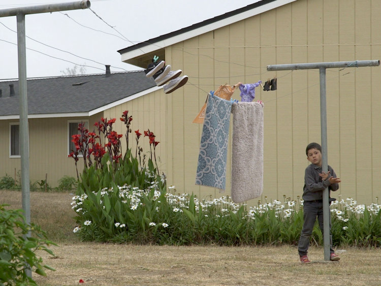 A boy stands next to a clothesline in Watsonville, California.