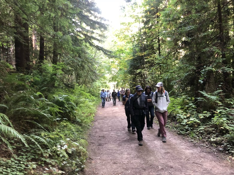 Redwoods in California are faring well despite warming temperatures. As part of the Global Climate Action Summit attendees visited a grove of redwoods in the Santa Cruz mountains.