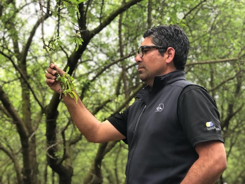Almond grower Jonathan Hoff of Monte Vista Farming Co. in Denair says Trump's trade wars have forced him to cut hours and rent warehouses for unsold produce that China once could have been counted on to buy.