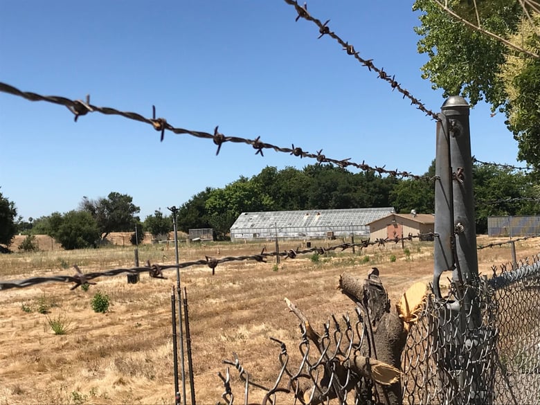 Sacramento's former tree nursery at 1920 34th Avenue now sits dormant. The city is considering turning the unused parcel into a community teaching farm.