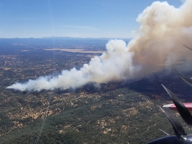 ALERTWildfire helped Cal Fire and local firefighters stop the Mountain Fire in its tracks near Redding before it could see the kind of explosive growth that made last year’s Carr Fire so destructive.
