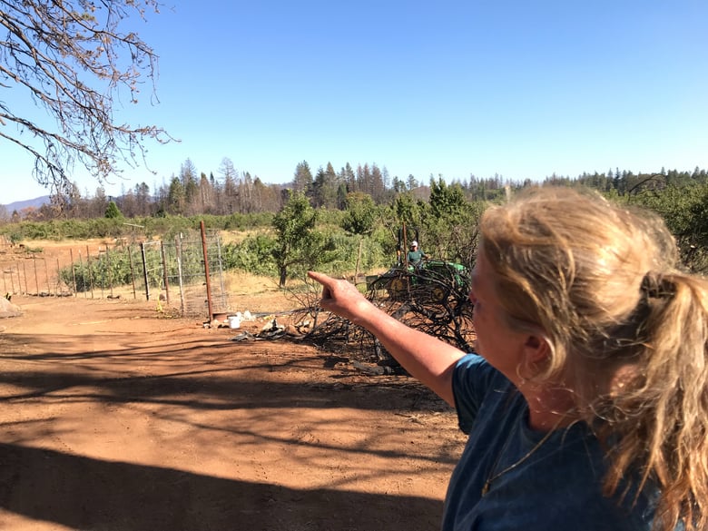 Laurie Noble of Noble Orchards points to the Gala apples that must be picked. The farm was destroyed but the orchard survived the Camp Fire of November 2018.