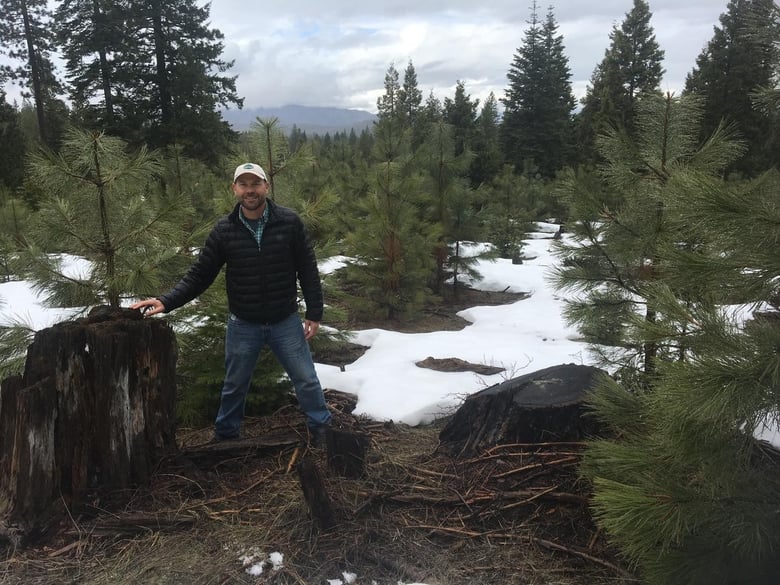 Chris Chase with old and young trees.