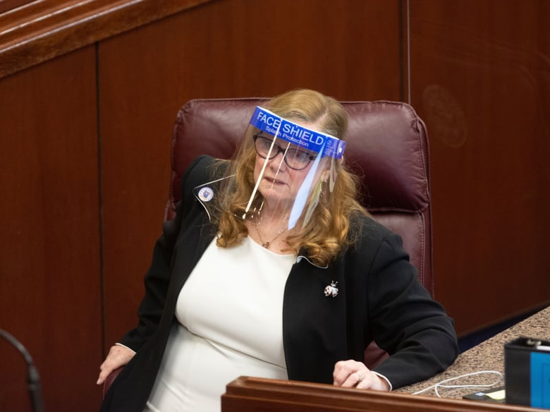 Assemblywoman Maggie Carlton, wears a face shield on the first day of the 31st Special Session of the Nevada Legislature in Carson City, Nev., on Wednesday, July 8, 2020.