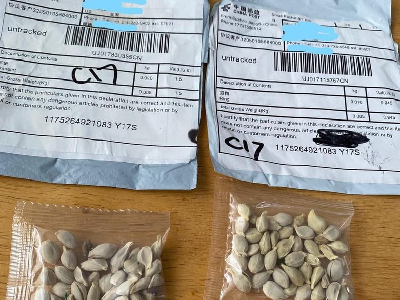 Mysterious seed deliveries from China have showed up in mailboxes across the nation over the last several months. Officials are warning people not to open or plant them.