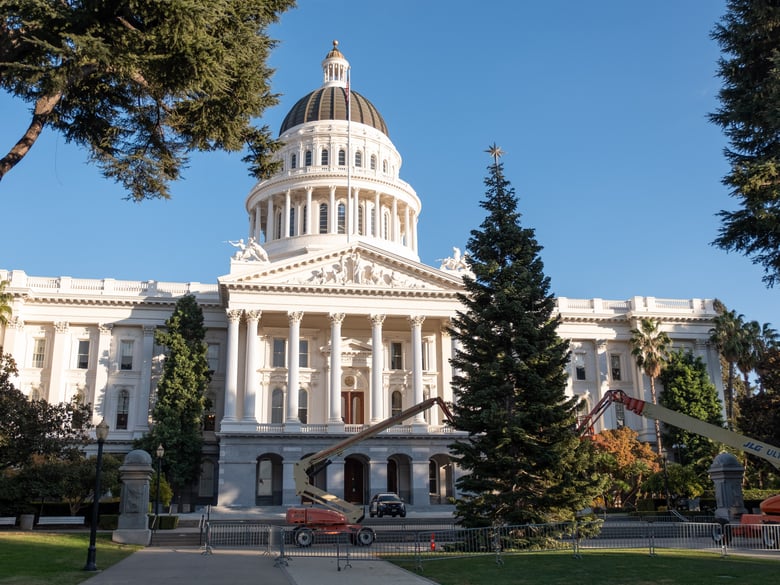 The Capitol holiday tree in Sacramento Thursday, Nov, 12, 2020.