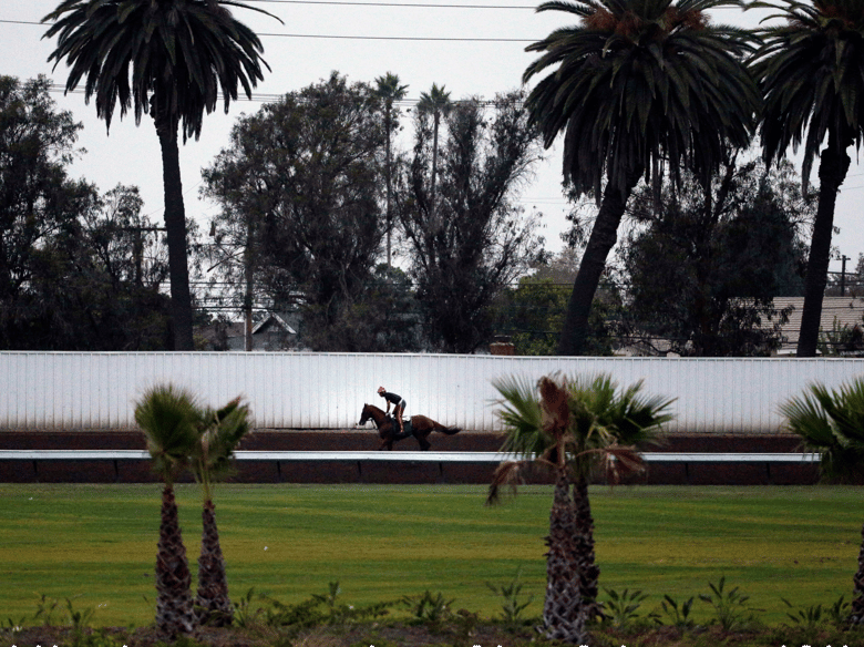 Exercise rider Willie Delgado rides California Chrome along the track during a morning training session at Los Alamitos Race Course Thursday, Sept. 4, 2014, in Los Alamitos, Calif.