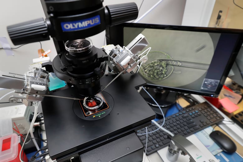 Lab staff use a microscope stand and articulated hand controls to extract cells from 1-7 day old embryos that are then checked for viability at the Aspire Houston Fertility Institute in vitro fertilization lab Feb. 27, 2024.