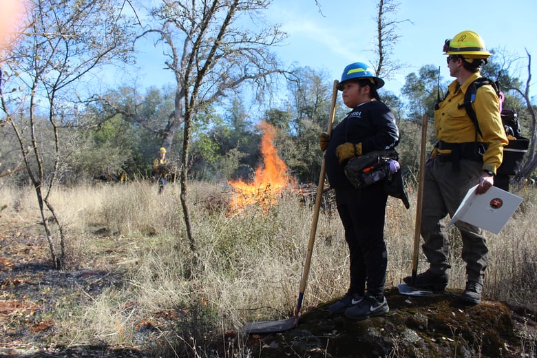 Ten-year-old Rosie Whipple attended a TERA burn on December 11, 2024. She attended with her mother Nikcole, who’s a TERA trainee. At cultural burns, it’s common practice for both children and elders to attend alongside trained crew members.