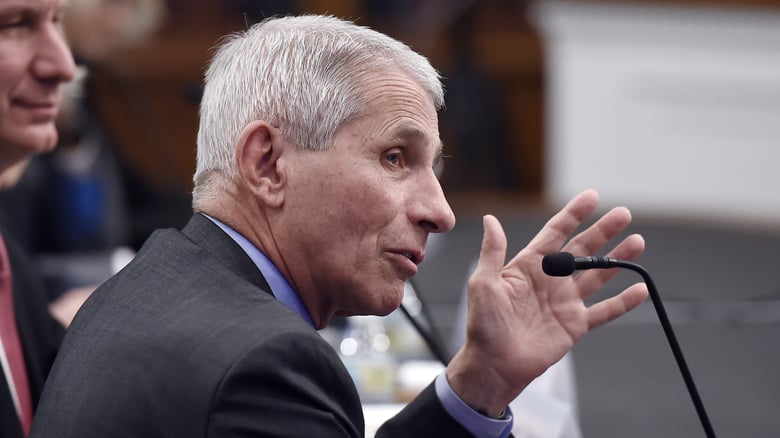 Anthony Fauci, director of the National Institute of Allergy and Infectious Diseases is pictured testifying in March on Capitol Hill. He and others leading the federal coronavirus response will testify before the House Energy and Commerce Committee on Tuesday.