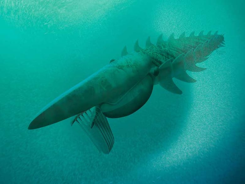 A reconstruction of the giant filter-feeding marine arthropod Aegirocassis benmoulae, chowing on a plankton cloud. 