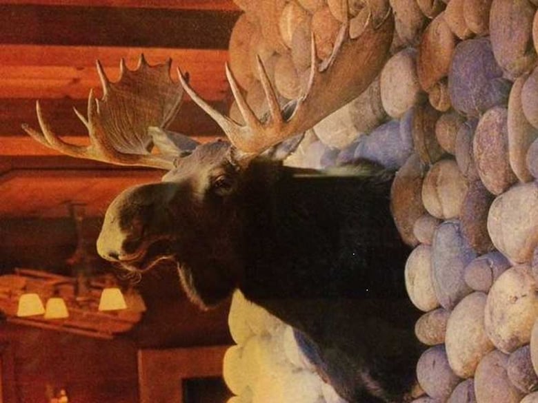 This mounted moose head was taken Jan. 22 from the Sunnyside Resort in North Lake Tahoe. The Placer County Sheriff's Dept. is seeking information about the burglary.