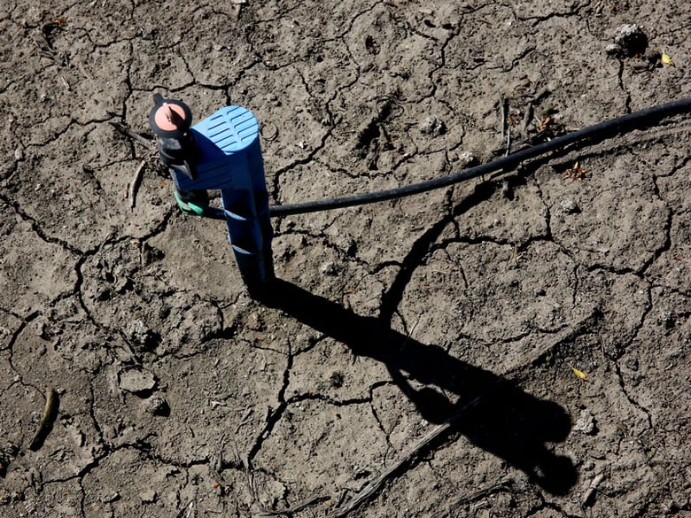 In this photo taken Friday March 27, 2015, low-flow water emitter sits on some of the dry, cracked ground of farmer Rudy Mussi's almond orchard in the Sacramento-San Joaquin Delta near Stockton, Calif. 