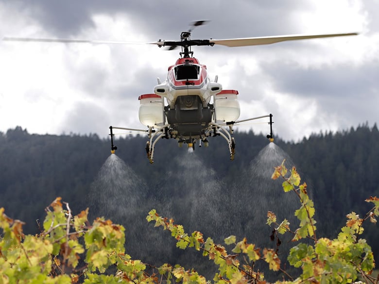 In this Oct. 15, 2014, file photo, a drone called the RMAX, a remotely piloted helicopter, sprays water over grapevines during a demonstration of it's aerial application capabilities at the University of California, Davis' Oakville Station.