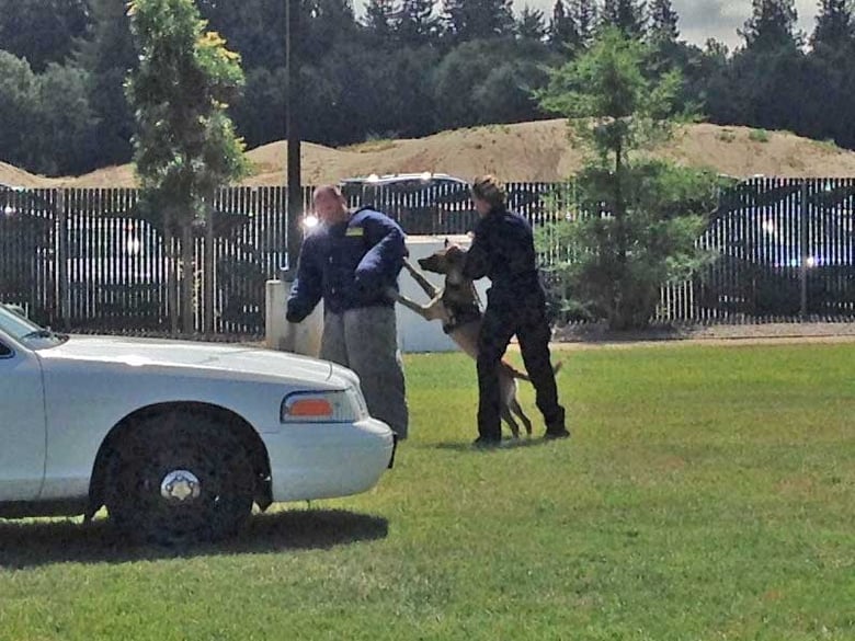 Edy and Officer Julie Jensen demonstrate subduing a suspect at CHP Canine Class graduation