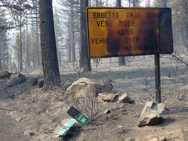 A scene along Highway 4 at Ebbetts Pass.
