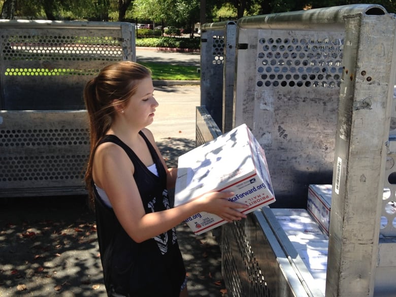 Breanna Humphers, 15, from Roseville helps a Move America Forward campaign to send 1,000 boxes to U.S. troops in Afghanistan.