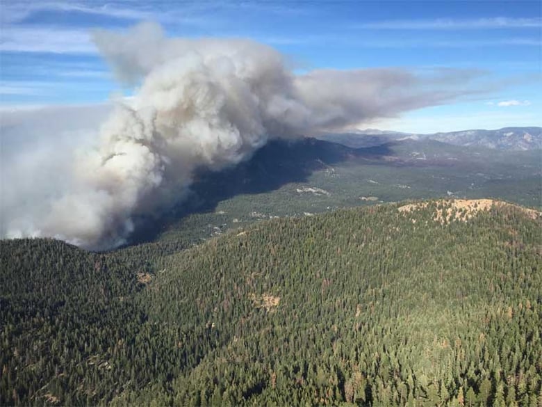 East side of the Cabin Fire as seen Tuesday, Aug. 4, 2015. 