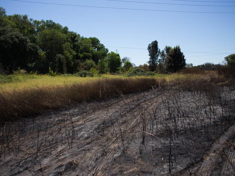 A fire near the American River Parkway Tuesday in Sacramento burned an area off Northgate Blvd. bordered by the railroad tracks and Highway 160.