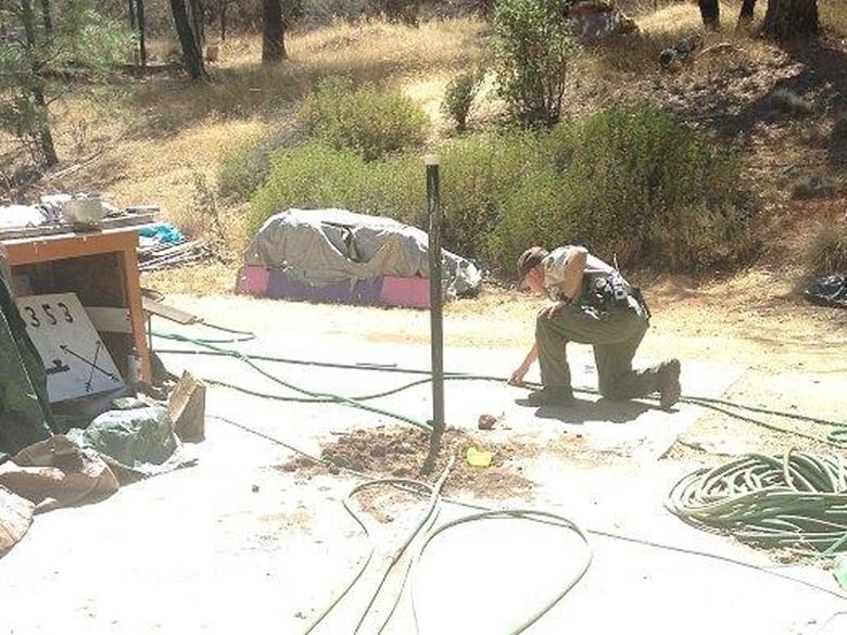 A CDFW warden investigates the site where a black bear attacked a man Thursday morning in Mariposa County.