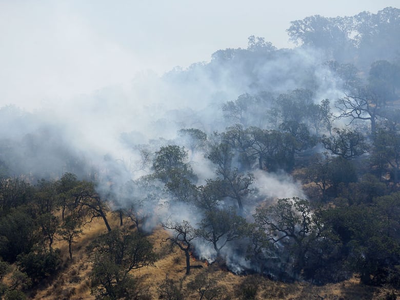 Smoke rises from fires burning on a hill in Livermore, Calif., Thursday, Aug. 20, 2015. Wildfires rampaged across the drought-choked West on Thursday as authorities scrambled for resources to beat back the flames. 