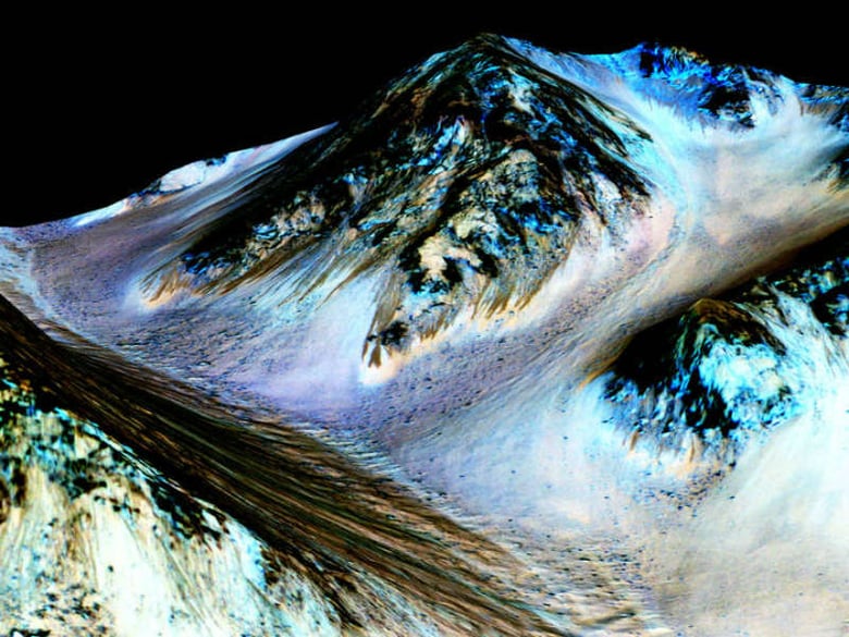 Dark, narrow streaks on Martian slopes such as these at Hale Crater are inferred to be formed by seasonal flow of water on contemporary Mars.