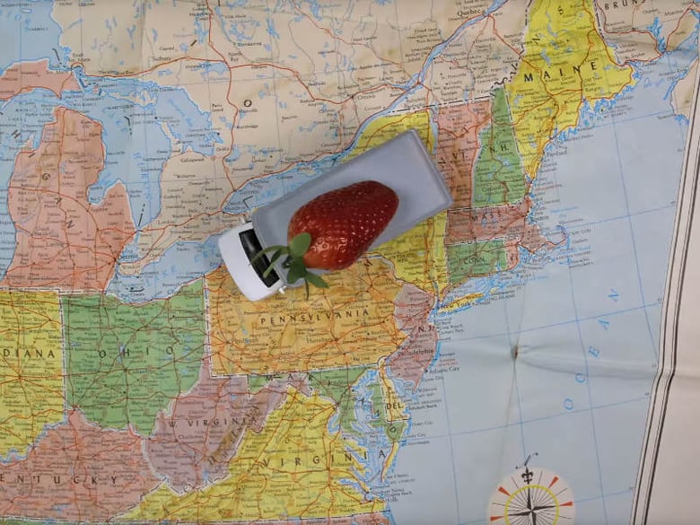 Nowadays, you can find strawberries anywhere in the U.S. at any time of year. But what’s the price that farm workers pay to bring us what was once a seasonal fruit?  
