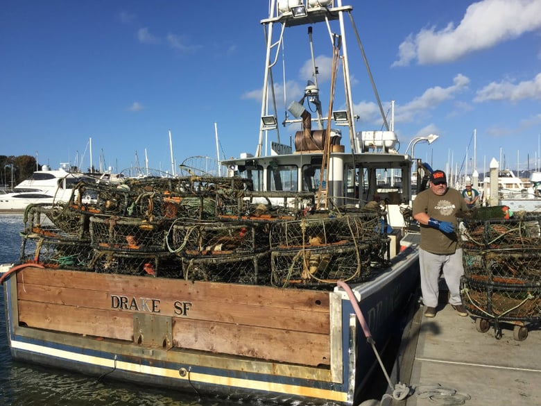 Crab fishermen Andy Guiliano helps offload recovered crab pots from his fishing vessel, F/V Drake, in Emeryville, California. The crab pot retrieval is part of the UC Davis program California Lost Fishing Gear Recovery Project.
