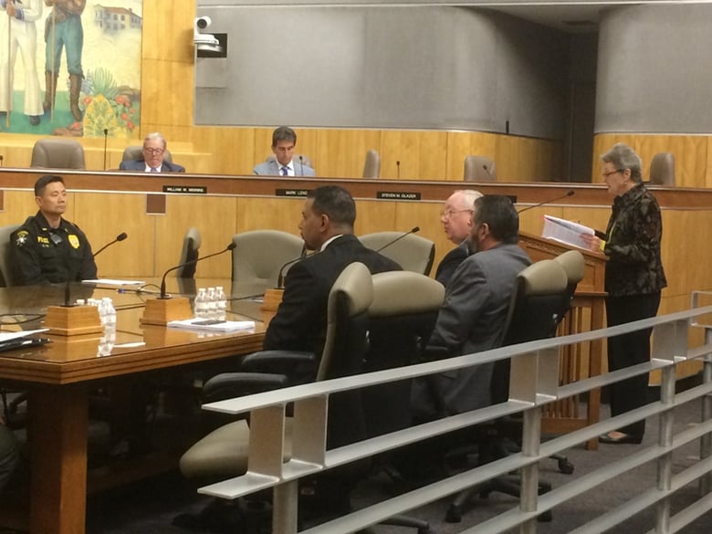 Gun rights advocates speak in opposition to a gun control bill during Tuesday's Senate Public Safety Committee hearing at the California state Capitol.