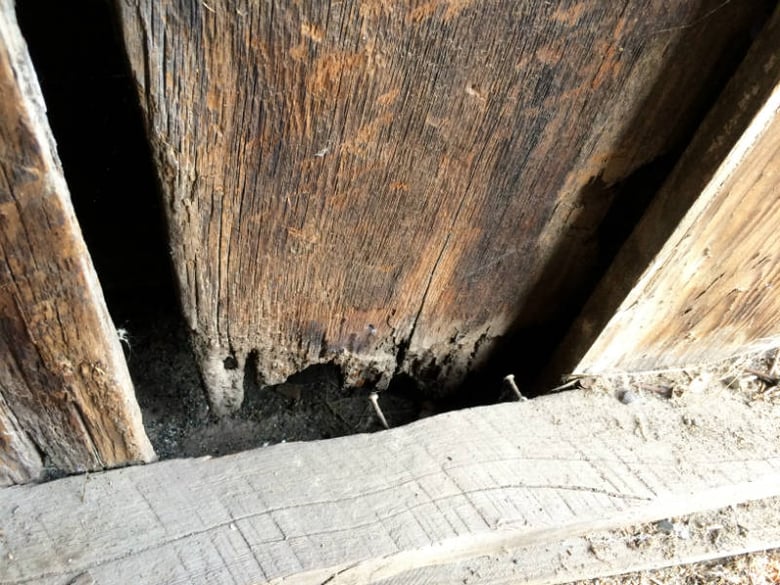 The planks at the base of the Mannix Barn on the Matsui Alley are pulling away from the cross beams due to age and dry rot.