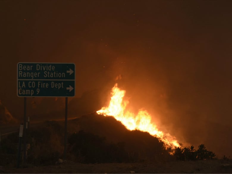 A fast burning wildfire burns next to the road near Bear Divide Rangers station and Camp 9 in the Angeles National Forest, Calif., Saturday, July 23, 2016. 