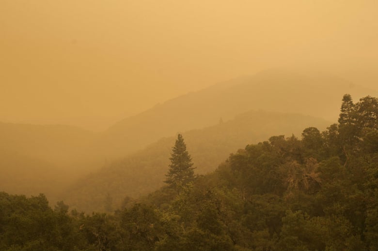 Smoke from a wildfire spreads over woods, as seen from White Rock in Carmel Valley, southeast of Monterey, Calif., Wednesday, July 27, 2016. 