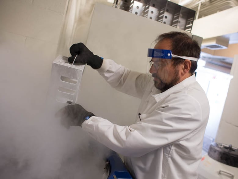 Dr. Koen Van Rompay removes a container holding a frozen sample of the Zika virus in a Davis lab and primate research facility on Monday, August 22, 2016. 
