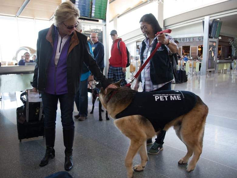 Linda Vogel pets Max, a dog that is part of a program to relax and reduce stress for travelers at Sacramento International Airport on November 16, 2016. 