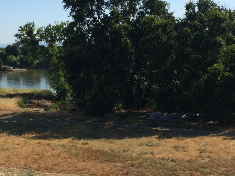 A homeless woman walks toward the Feather River from her tent. Nearly 100 homeless now live along a mile stretch of Feather River Bike Trail, to the consternation of the people who live and recreate nearby.