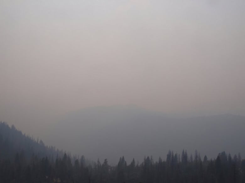 The Turtleback Dome and Air Quality camera from Yosemite National Park on Sept.6, 2017 at 3:20 p.m.