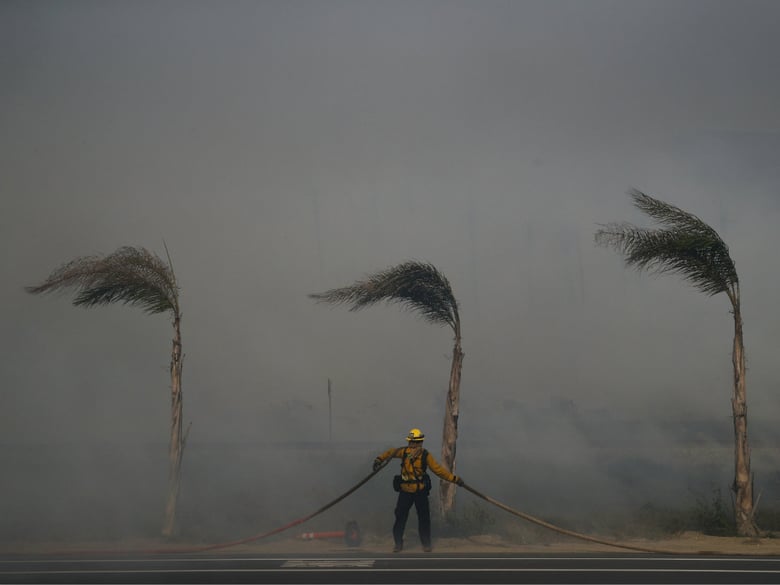 Palm trees sway in a gust of wind as a firefighter carries a water hose while battling a wildfire at Faria State Beach in Ventura, Calif., Thursday, Dec. 7, 2017.