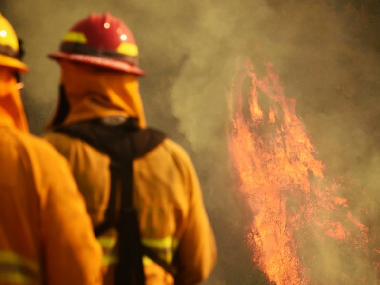 In this photo provided by the Santa Barbara County Fire Department, firefighters keep an eye on flames as pockets of unburned vegetation flare up off Bella Vista Dr. in Montecito, Calif., Wednesday, Dec. 13, 2017