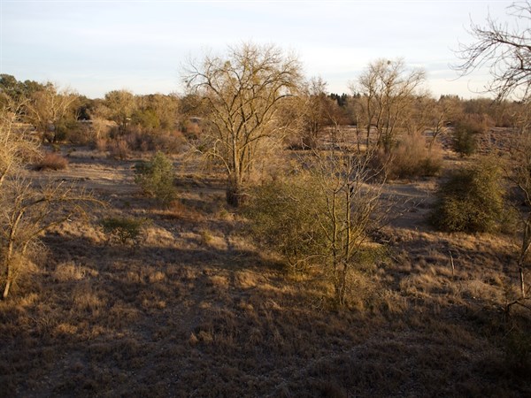 Dry _field _from _above _7418_cropped