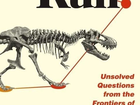 'How Fast Did T. rex Run?' and other questions about dinosaurs examined in new book