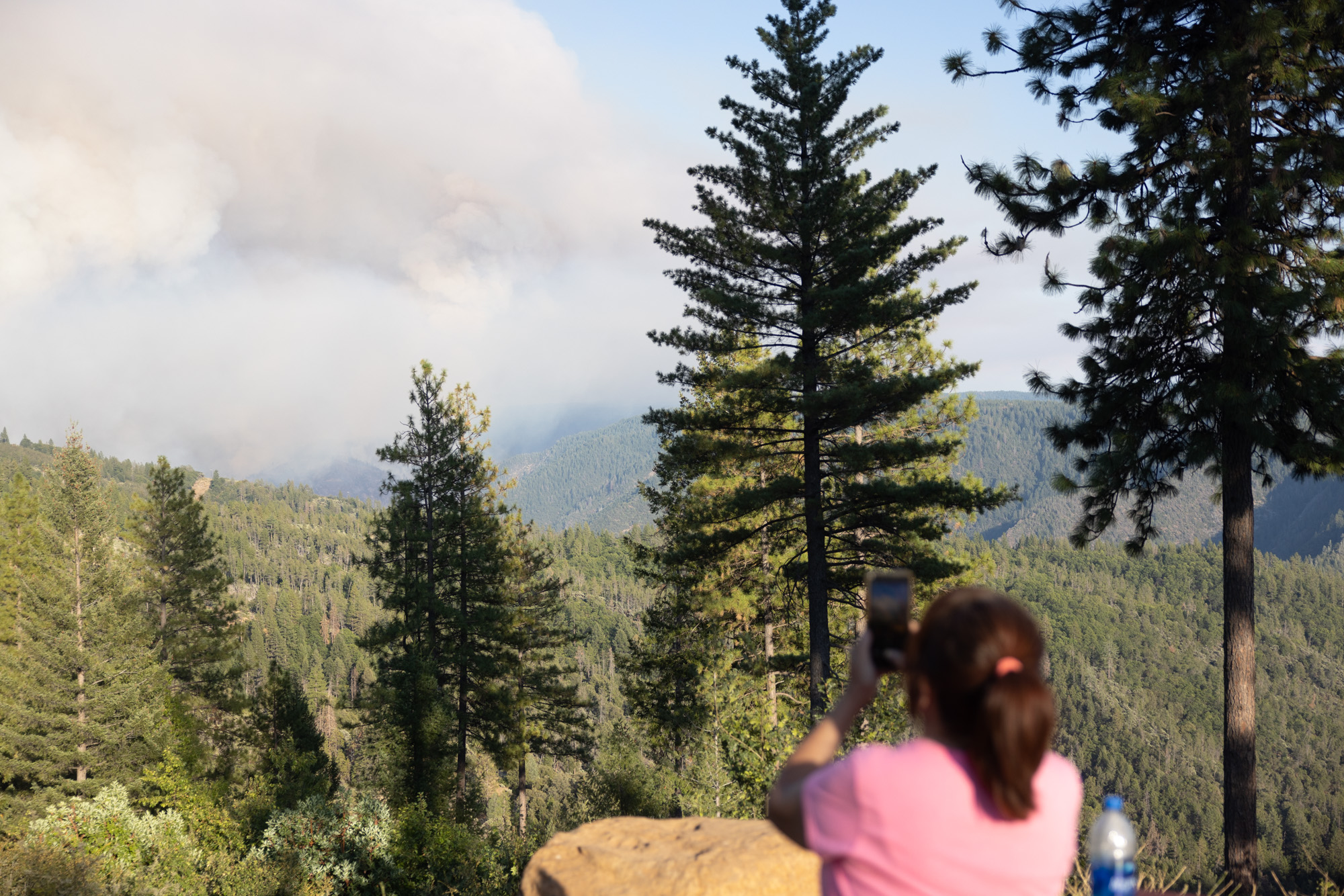 Wildfire Impact on Children, Intersection of Domestic Violence and Gun  Violence