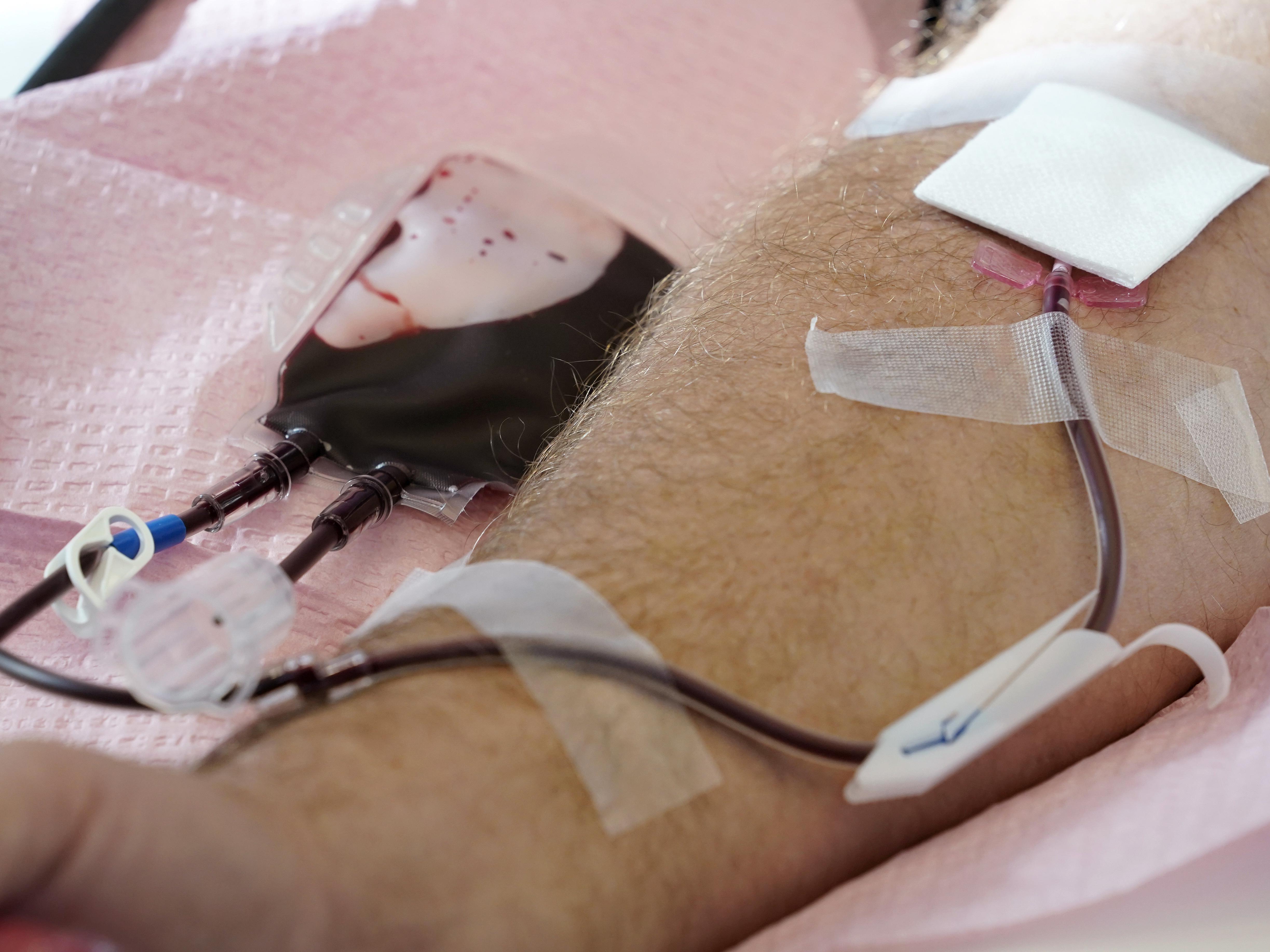 FDA Changes Blood Donor Eligibility for Gay, Bisexual Men | The Loneliness  Epidemic | â€œBest of Insightâ€ Mariachi Bonitas - capradio.org