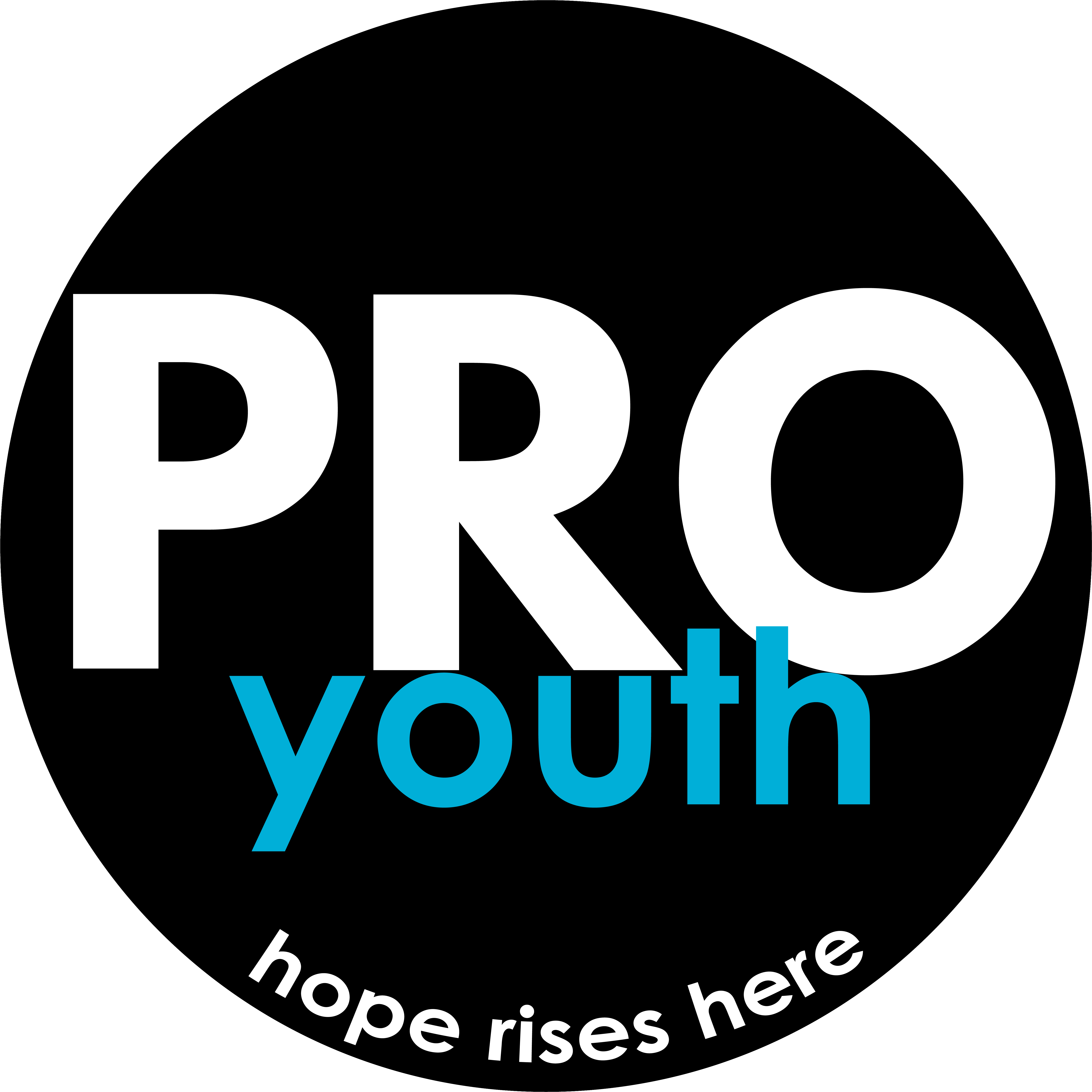 PRO Youth and Families logo