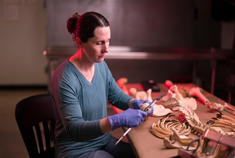 Dr. Colleen Milligan is one of the forensic anthropologists at Chico State's Human Identification Lab.
