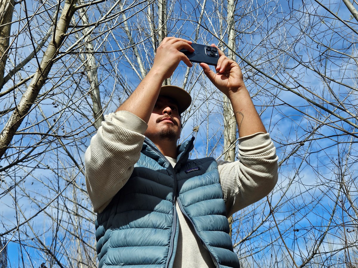 River Partners Restoration Scientist Diego Garcia surveys a collection site at Dos Rios State Park near Modesto, Feb. 28, 2025.