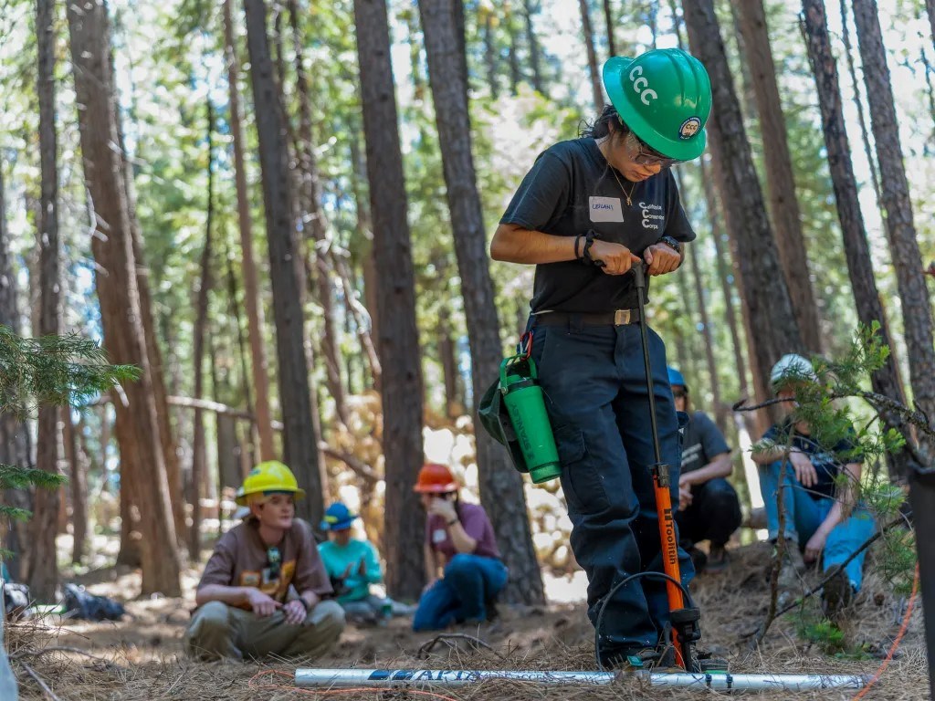 reforestation camp workers