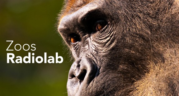 Zoos-radiolab-R