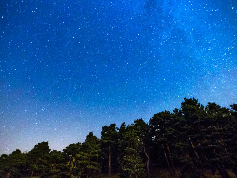 Perseid meteor shower peaks tonight capradio