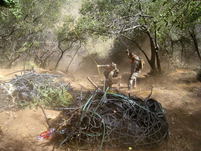 800px x 600px - Wildlife Officials Clean Up Illegal Marijuana Grow Sites - capradio.org