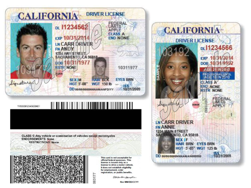 Thousands Apply For Undocumented Driver Licenses - capradio.org